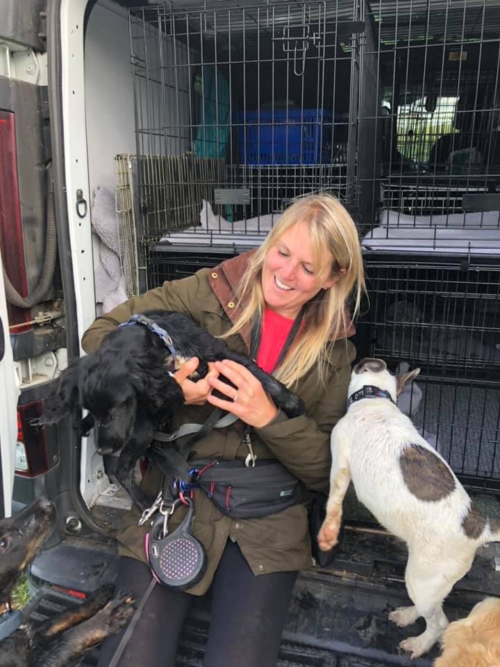 Gayle Rickards Dog Walker Cheltenham