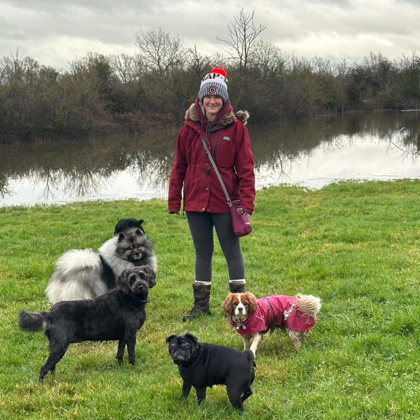 Isabel Dog Walker Cheltenham